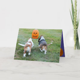 Niedliche Basset-Hunde auf der sonnigen Halloween- Karte