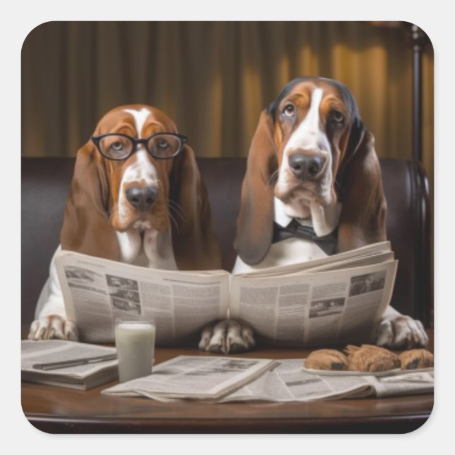 Niedliche Basset-Hunde beim Lesen einer Zeitung Quadratischer Aufkleber (Vorderseite)