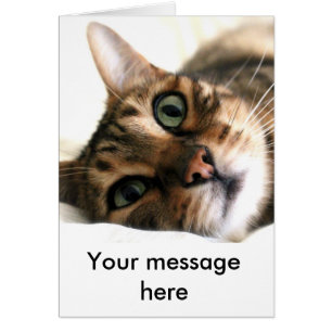 Niedliche Bengalische Katze im Bett Benutzerdefini