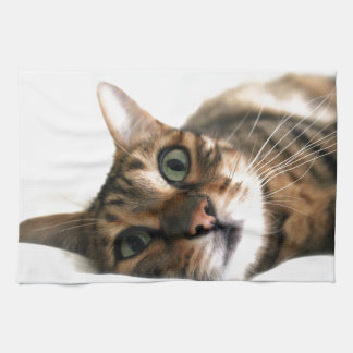 Niedliche bengalische Katze im Bett-Bild Handtuch