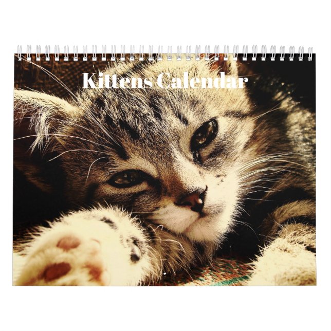 Niedliche Bengalische Kittens 2023 Kalender (Titelbild)