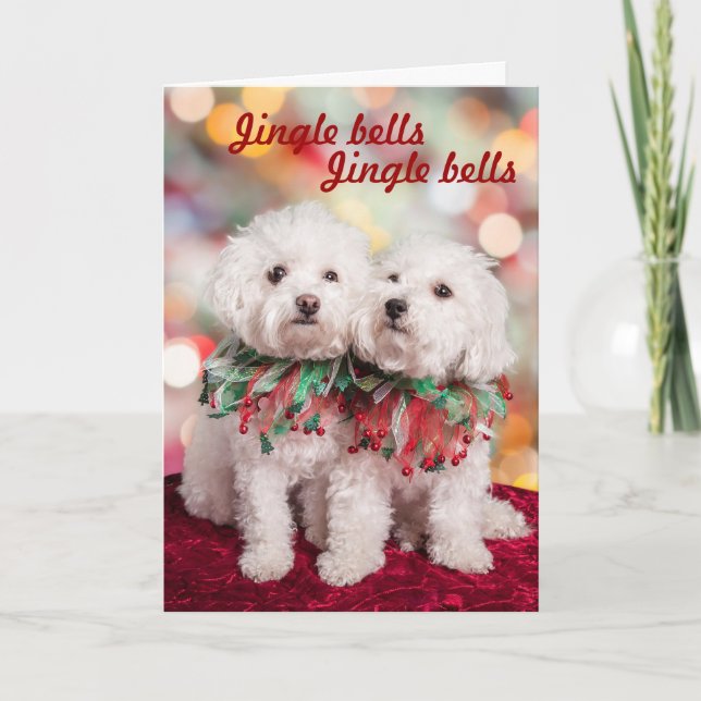 Niedliche Bichon Frise-Hunde Weihnachtskarte Feiertagskarte (Vorderseite)