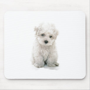 Niedliche Bichon Frise Mausunterlage Mousepad