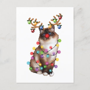 Niedliche Birman Cat Weihnachtsgeschenke Postkarte