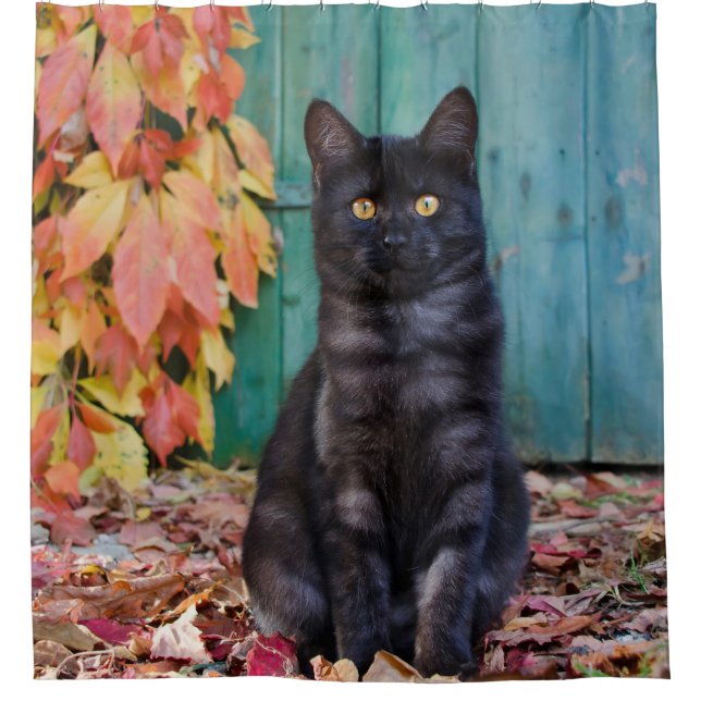 Niedliche Black Cat Kitten Red Blätter Blue Doe /  Duschvorhang (Vorderseite)
