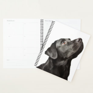 Niedliche Black Lab Puppy Hund Liebe Labrador Retr Planer