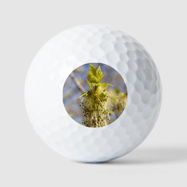 Niedliche Blätter im Frühling Foto Golfball (Vorderseite)