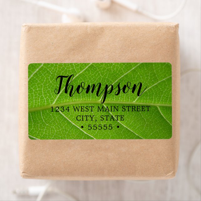 Niedliche Blätterblätter-Grüntöne Nah (Insitu)