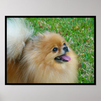 Niedliche Blondine Poster