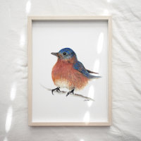 Niedliche Bluebird-Farbe Kunst drucken