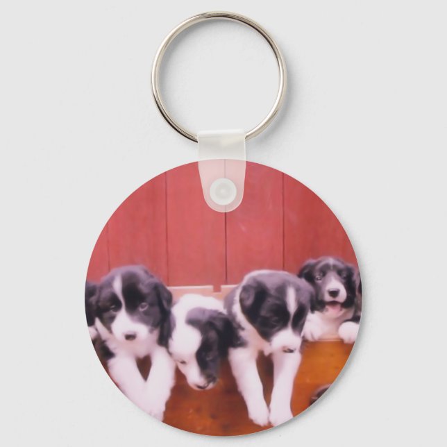 Niedliche Border Collie Puppies Schlüsselanhänger (Vorderseite)