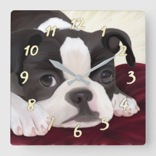 Niedliche Boston-Terrierwanduhr Quadratische Wanduhr