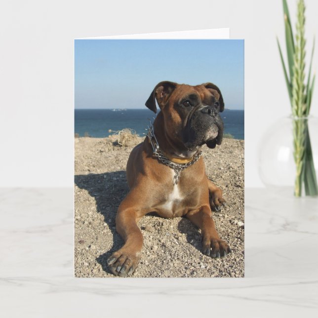 Niedliche Boxer-Dog-Grußkarte Karte (Vorderseite)