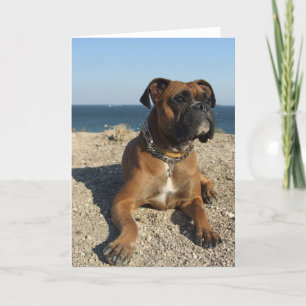Niedliche Boxer-Dog-Grußkarte Karte