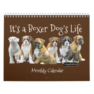 Niedliche Boxer-Welpen Kalender