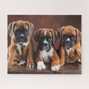 Niedliche Boxerwelpen