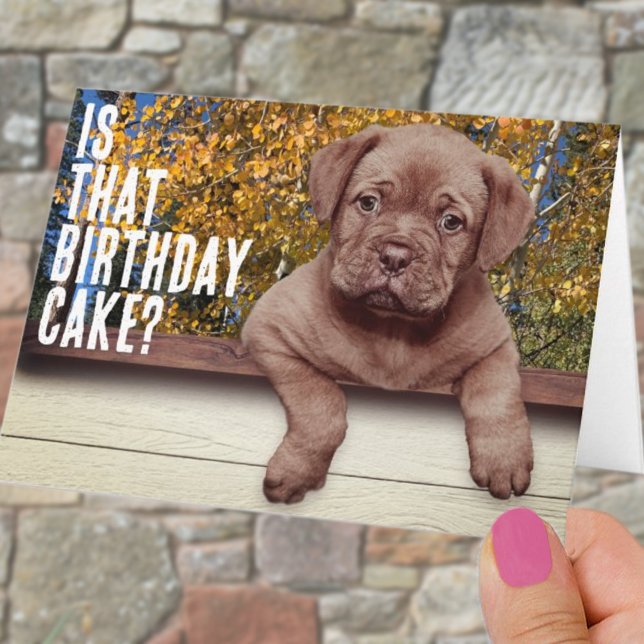 Niedliche braune Welpenfotovorlage Geburtstag Karte (Von Creator hochgeladen)