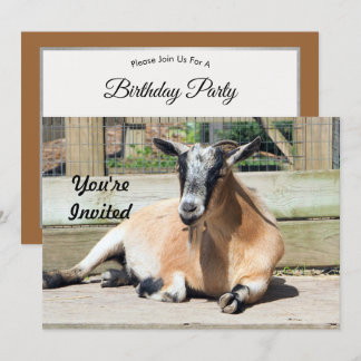 Niedliche braune Ziege Schlafen Foto Geburtstag Einladung