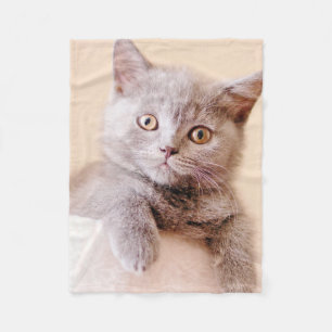 Niedliche britische Shorthair Katze Fleecedecke