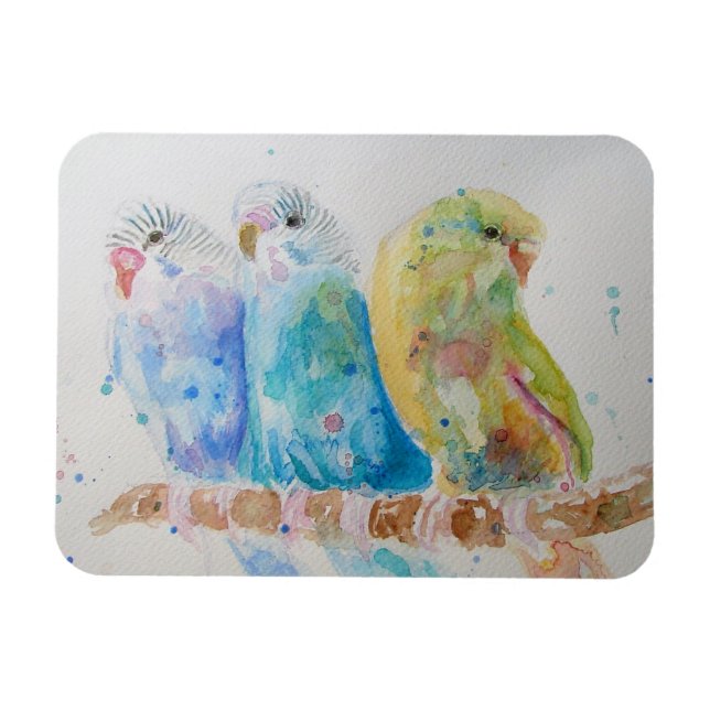 Niedliche Budgie Budgethilfen Vogel Wasserfarben K Magnet (Horizontal)