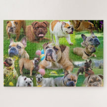 Niedliche Bulldog Art | Foto Collage Hunde