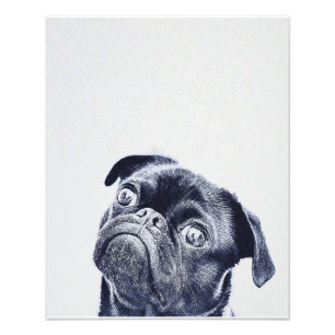 Niedliche Bulldogge   Bulldog-Lover-Geschenk Fotodruck