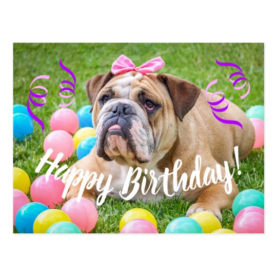 Geburtstags Der Franzosischen Bulldogge Hunde Karten Zazzle At