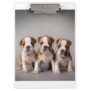 Niedliche Bulldoggen Welpen Dog Lovers Gift Klemmbrett