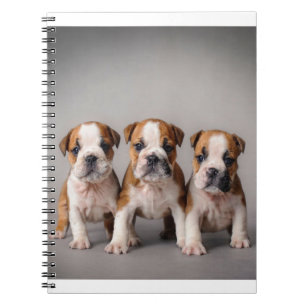Niedliche Bulldoggen Welpen   Dog Lovers Gift Notizblock