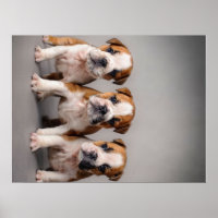 Niedliche Bulldoggen Welpen | Dog Lovers Gift