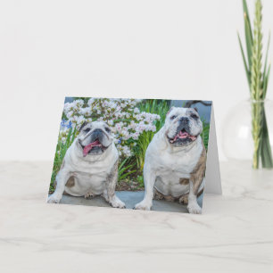 Niedliche Bulldogs Beste Freunde Personalisiert Karte