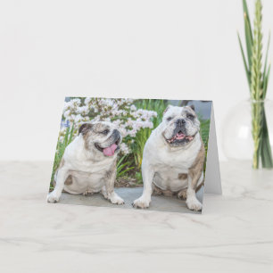 Niedliche Bulldogs Gerne Geburtstag Personalisiert Karte