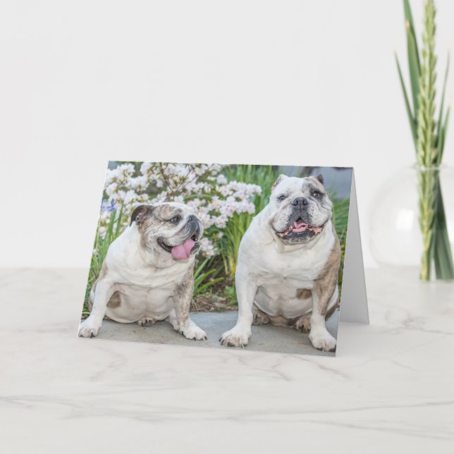 Niedliche Bulldogs glücklich Jubiläum Personalisie Karte (Vorderseite)