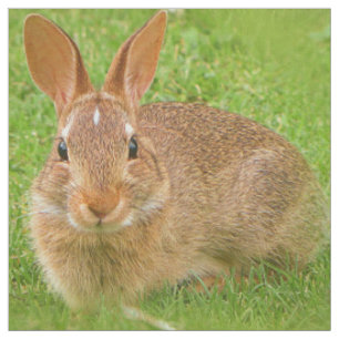 Niedliche Bunny Chewing Grüntöne auf der Golfmesse Stoff