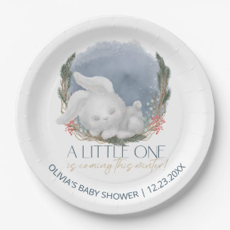 Niedliche Bunny Snowly Winter Baby Dusche Pappteller