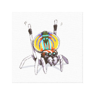 Niedliche bunte Pfau-Spinne, die Kunst-Leinwand Leinwanddruck