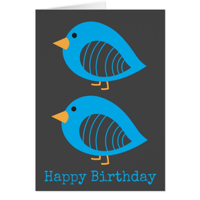 Niedliche, bunte Raubvögel (Vorne)