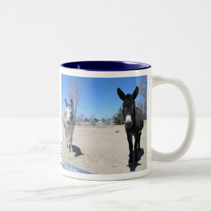 Niedliche Burros-Freundschaft Zweifarbige Tasse