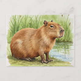 Niedliche Capybara Postkarte