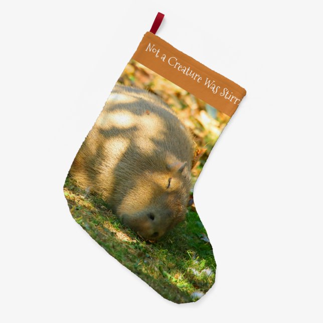 Niedliche Capybara-Träume im Sommer Großer Weihnachtsstrumpf (Vorderansicht (hängend))