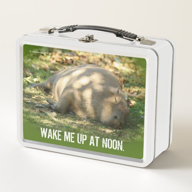 Niedliche Capybara-Träume im Sommer Metall Brotdose (Vorderseite)