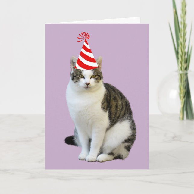 NIEDLICHE CAT FOTO-GEBURTSTAGSKARTEN FEIERTAGSKARTE (Vorderseite)