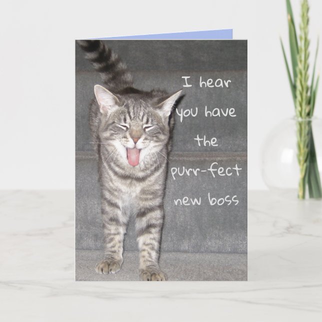 Niedliche Cat Happy-Rentenkarte Karte (Vorderseite)