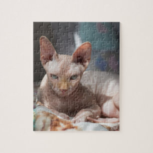 Niedliche Cat Lounges ohne Pelz