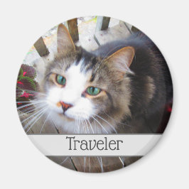 Niedliche Cat Pet Liebhaber Erstellen Sie Ihr eige Magnet