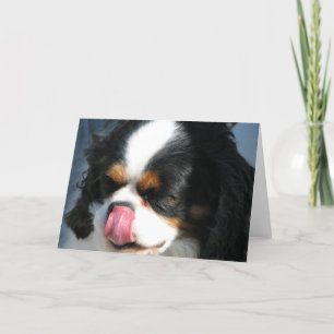 Niedliche Cavalier Spanische Hundegrußkarte Karte
