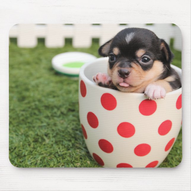 Niedliche Chihuahua-Maus-Pad Foto hinzufügen Mousepad (Vorne)
