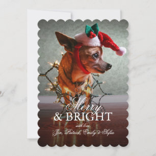 Niedliche Chihuahua mit Weihnachtsmannmütze Feiertagskarte