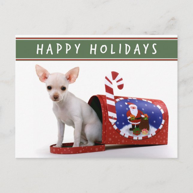Niedliche Chihuahua Weihnachtspostkarte Feiertagspostkarte (Vorderseite)