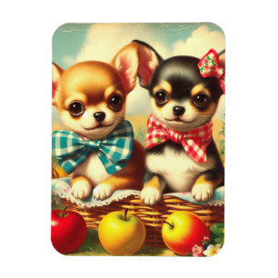 Niedliche Chihuahua Welpen Magnet